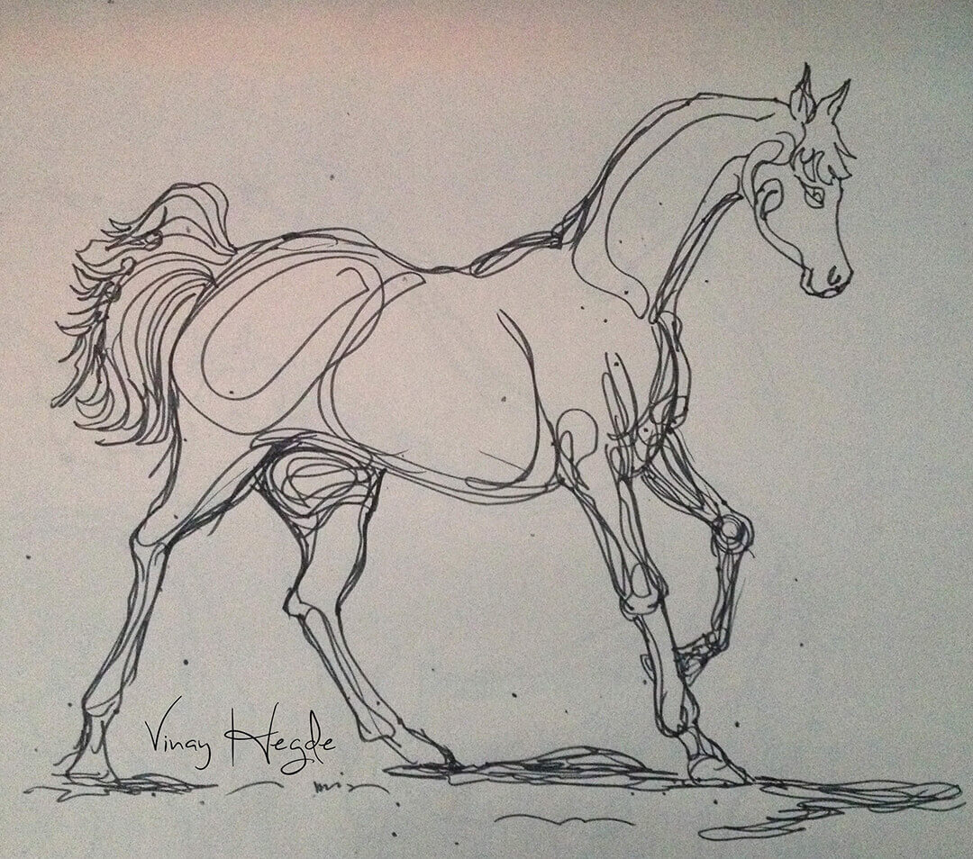 Portfolio1