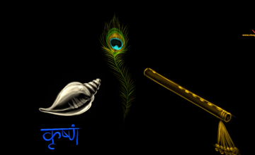 Portfolio1